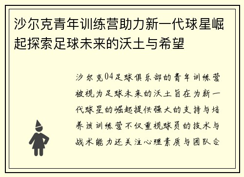 沙尔克青年训练营助力新一代球星崛起探索足球未来的沃土与希望